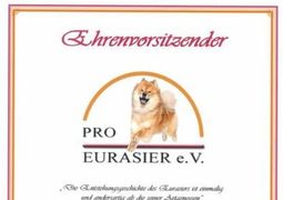 Urkunde "Ehrenvorsitzender" für Thomas Abel Abbildung der Urkunde